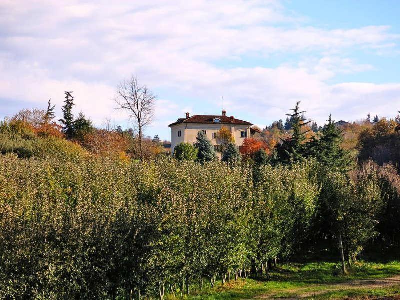 Apartmán Cascina Bringin Mondovì Exteriér fotografie
